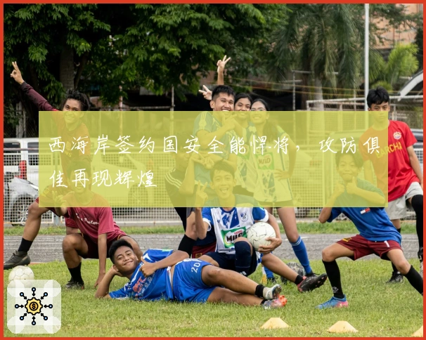 西海岸签约国安全能悍将，攻防俱佳再现辉煌